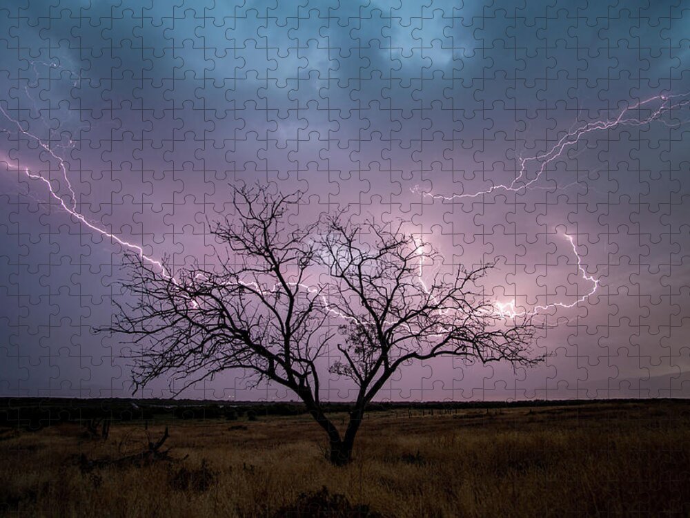 Storm Jigsaw Puzzle featuring the photograph Lightning Tree by Wesley Aston
