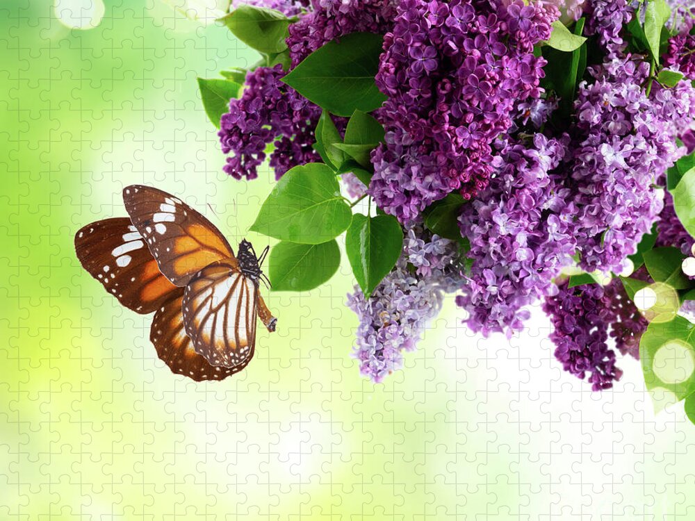 Lilac Jigsaw Puzzle featuring the photograph Lilac and Butterflies by Anastasy Yarmolovich