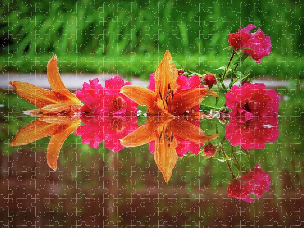 Orange Jigsaw Puzzle featuring the photograph Lilies and Roses Reflection by Jason Fink