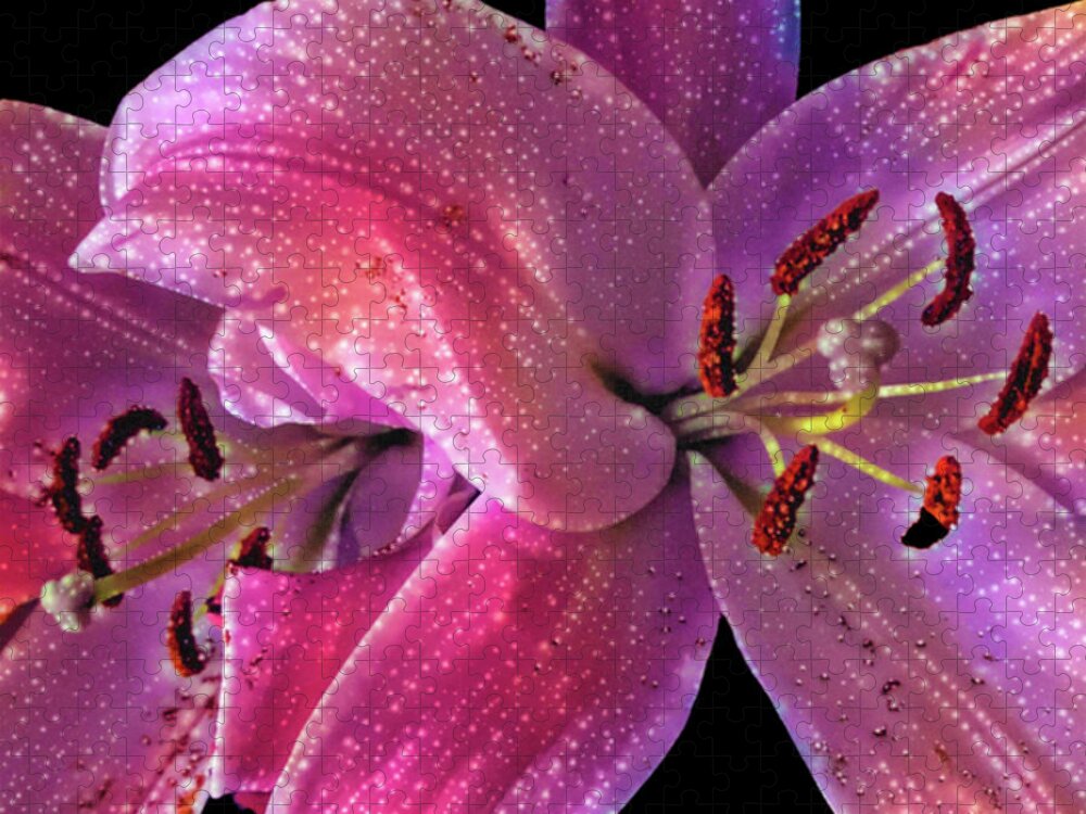 Photographs Jigsaw Puzzle featuring the photograph Lillies on Black by Pheasant Run Gallery