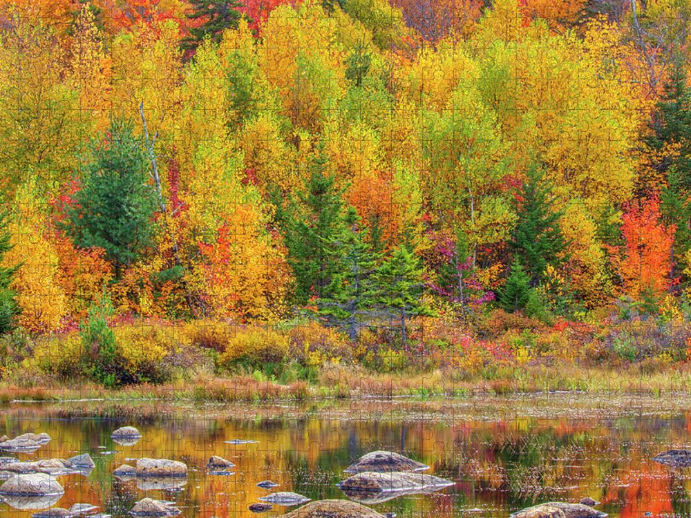 Lily Pond Jigsaw Puzzle featuring the photograph Lily Pond in the New Hampshire White Mountains by Juergen Roth