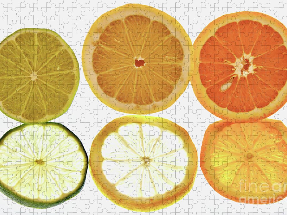 Food Jigsaw Puzzle featuring the photograph Limes Lemons Oranges by Baggieoldboy