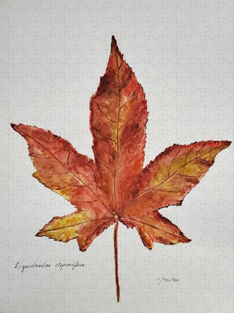 Botanical Jigsaw Puzzle featuring the painting Liquidambar 1 - Watercolor by Claudette Carlton