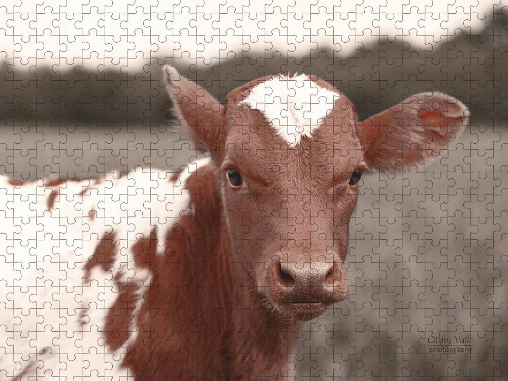 Texas Longhorn Cow Picture Jigsaw Puzzle featuring the photograph Little longhorn - Jewels by Cathy Valle