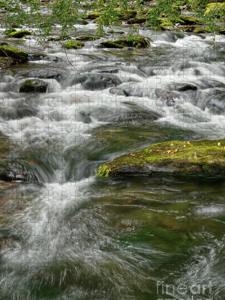 Smokies Jigsaw Puzzle featuring the photograph Little River 4 by Phil Perkins