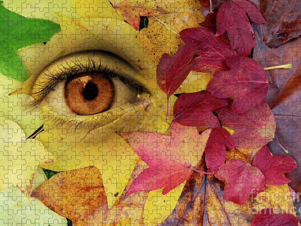 Fall Jigsaw Puzzle featuring the photograph Living nature, autumnal leaves by Delphimages Photo Creations