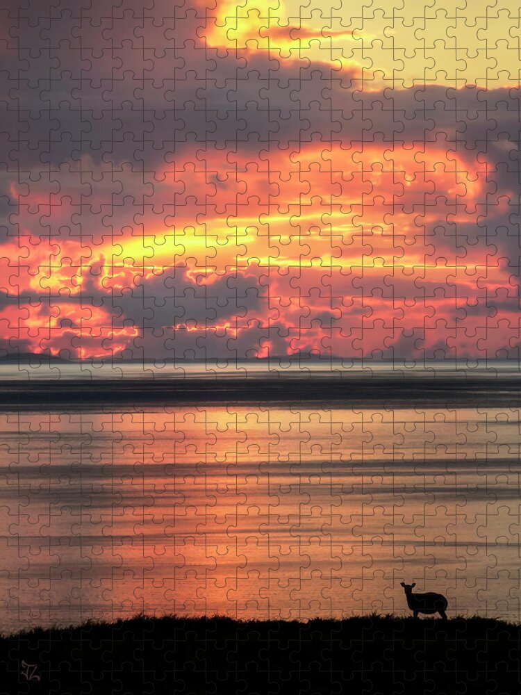 Sunset Jigsaw Puzzle featuring the photograph Miss Ewe by Jerry LoFaro