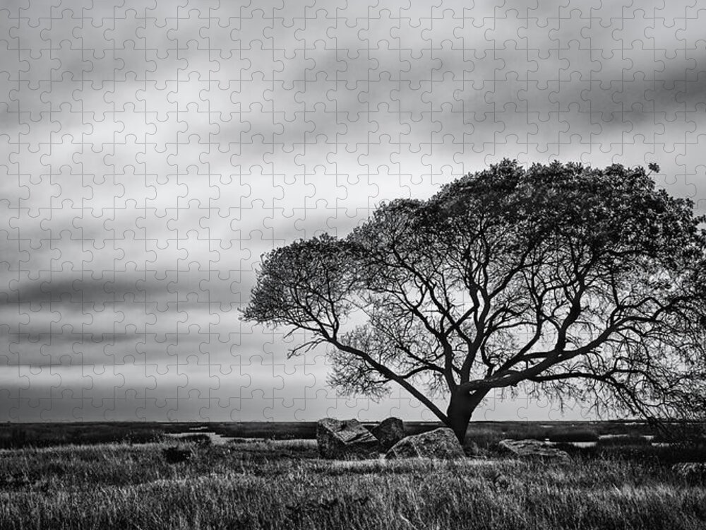B&w Jigsaw Puzzle featuring the photograph Lone Tree At The Salt Marsh by Mike Schaffner
