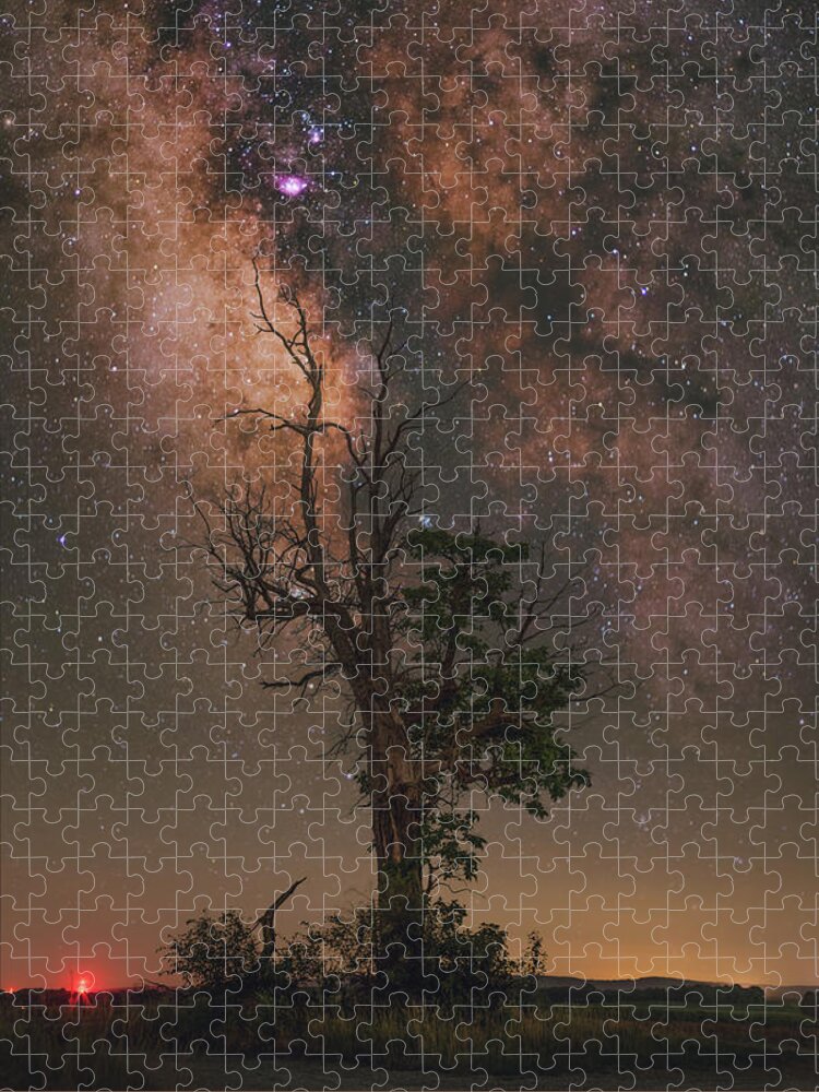 Nightscape Jigsaw Puzzle featuring the photograph Lone Tree by Grant Twiss