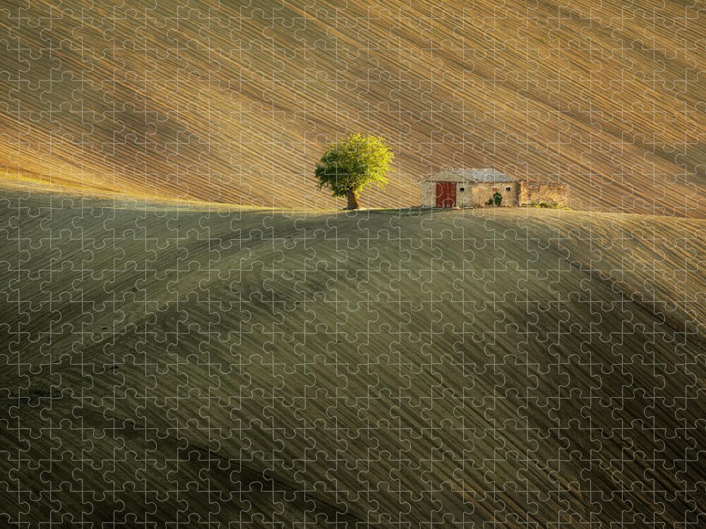 Rolling Fields Jigsaw Puzzle featuring the photograph Lonely hut by Piotr Skrzypiec