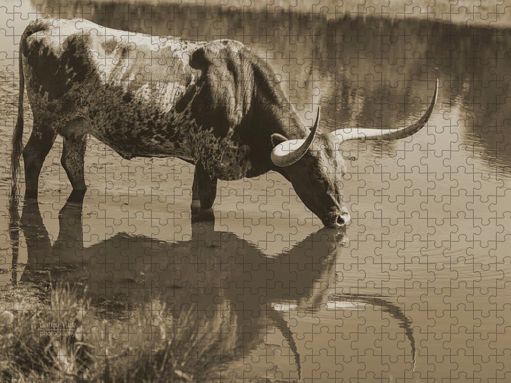 Texas Longhorns Wall Art Jigsaw Puzzle featuring the photograph longhorn cow Carley's Nirvana in the water by Cathy Valle