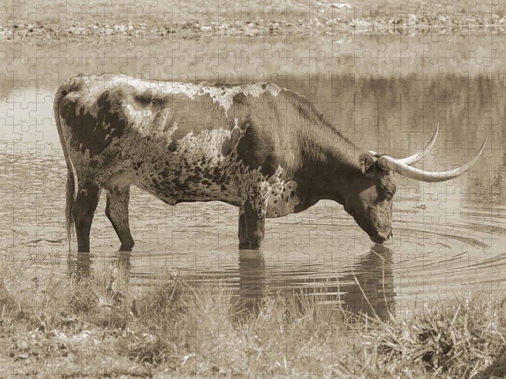 Texas Longhorns Wall Art Jigsaw Puzzle featuring the photograph Longhorn Cow In Sepia Drinking by Cathy Valle