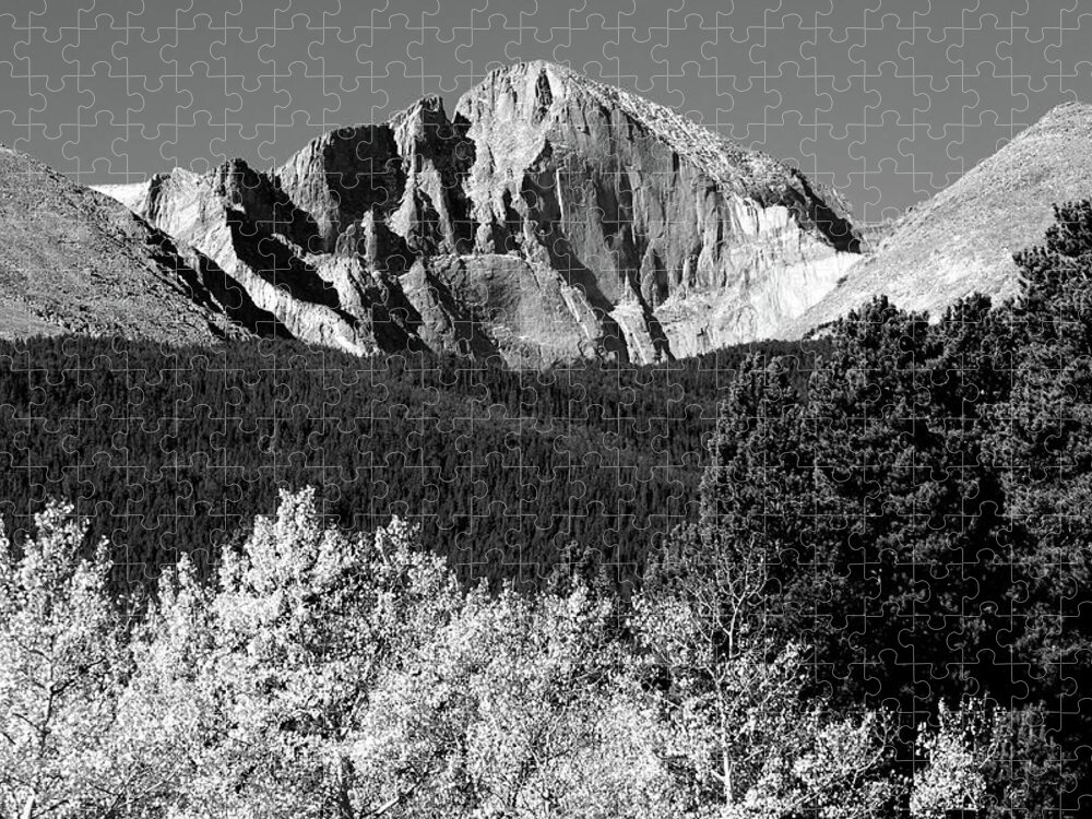 Mountains Jigsaw Puzzle featuring the photograph Longs Peak Autumn Aspen Landscape View BW by James BO Insogna