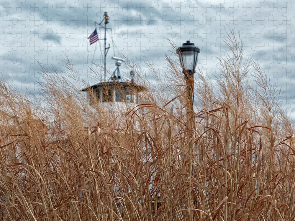 Grasses Jigsaw Puzzle featuring the photograph Looking Through the Grasses by Cate Franklyn