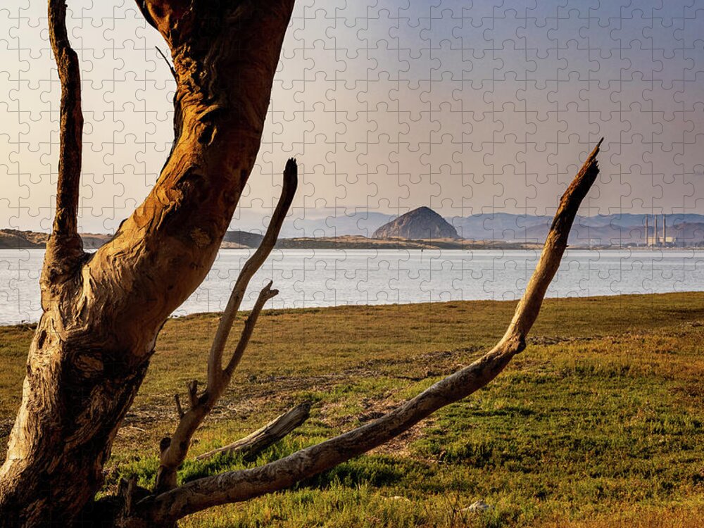  Jigsaw Puzzle featuring the photograph Los Osos by Lars Mikkelsen