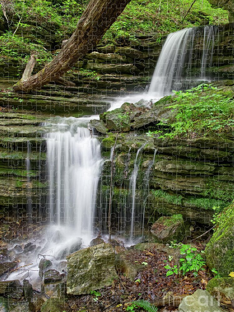 Cumberland Plateau Jigsaw Puzzle featuring the painting Lost Creek Falls 40 by Phil Perkins