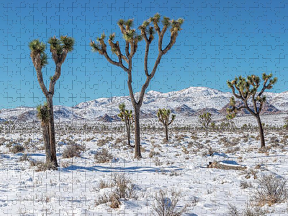 Blue Sky Jigsaw Puzzle featuring the photograph Lost Horse Valley in Snow by Peter Tellone