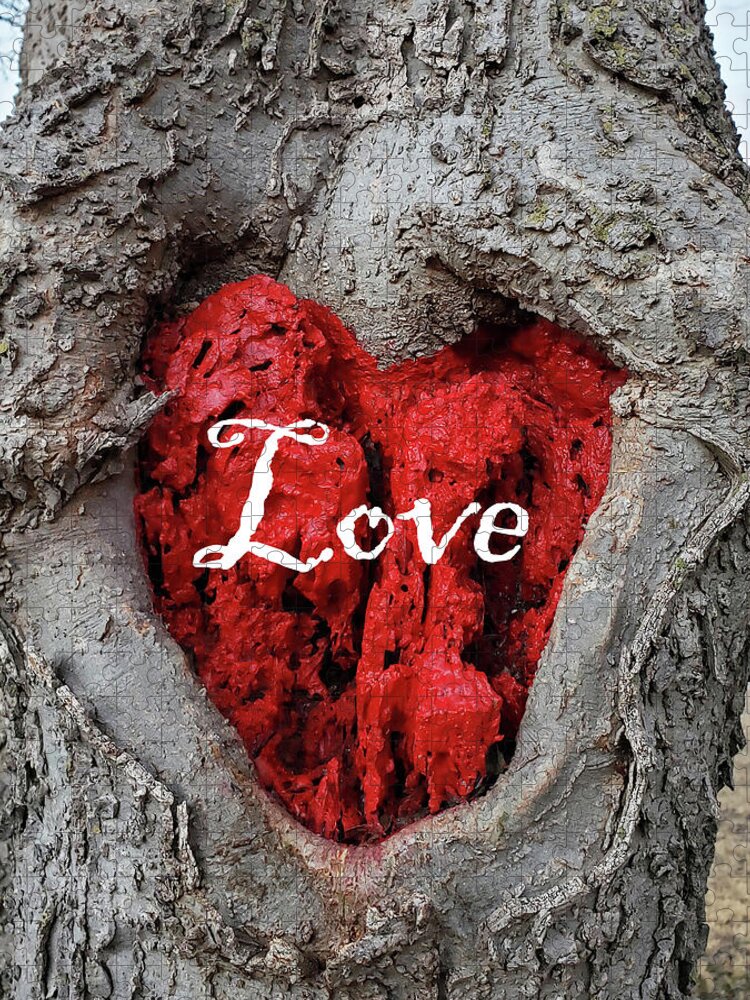 Love Jigsaw Puzzle featuring the photograph LOVE Red Heart In a Tree by Lynnie Lang