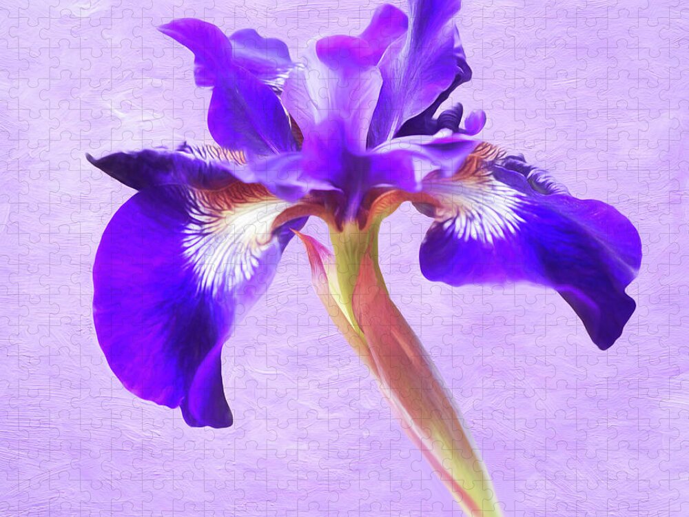Iris Jigsaw Puzzle featuring the photograph Lovely Dancing Purple Iris by Anita Pollak