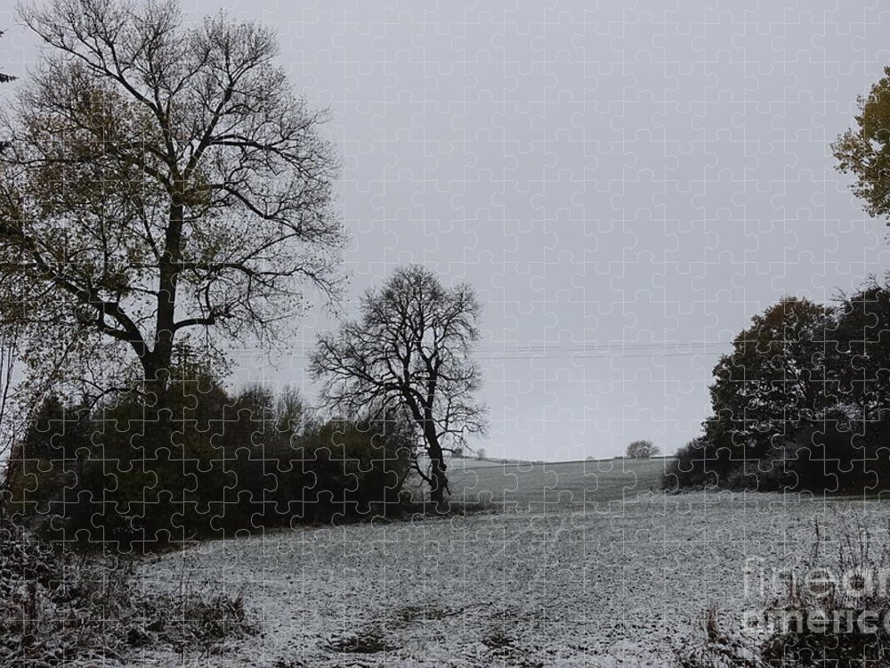 Winter Jigsaw Puzzle featuring the photograph Lovely Winter Scenery by Eva-Maria Di Bella