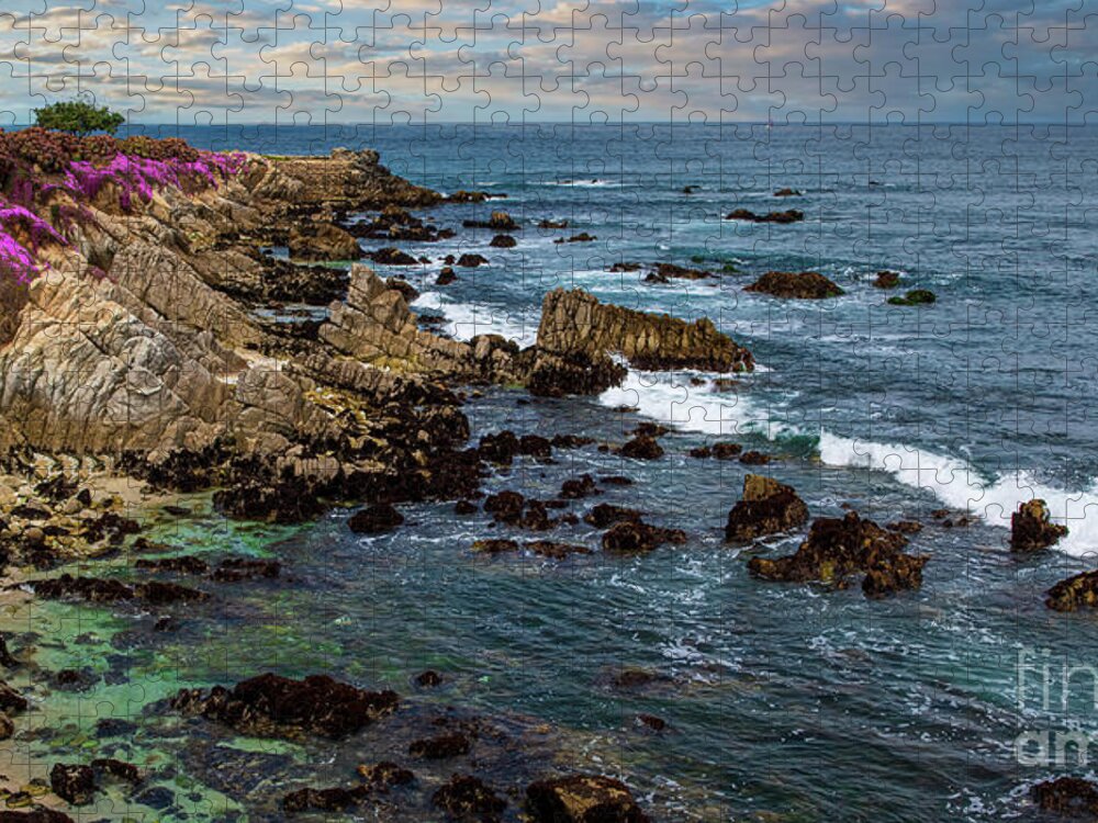 Beach Jigsaw Puzzle featuring the photograph Lover's Point Rocky Coast by David Levin