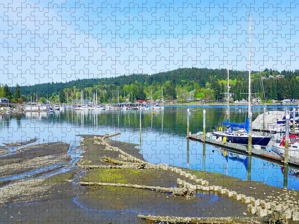 Landscape Jigsaw Puzzle featuring the photograph Low Tide by Bill TALICH