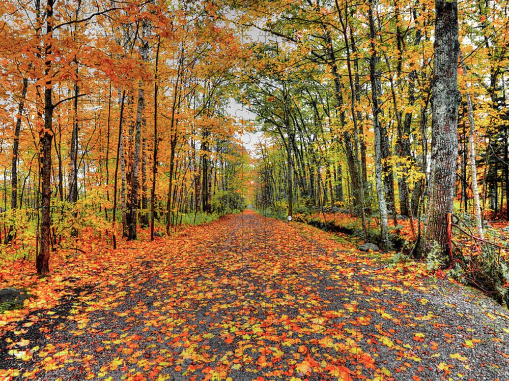 Fall Jigsaw Puzzle featuring the photograph Luckey Lane by Jeff Cooper