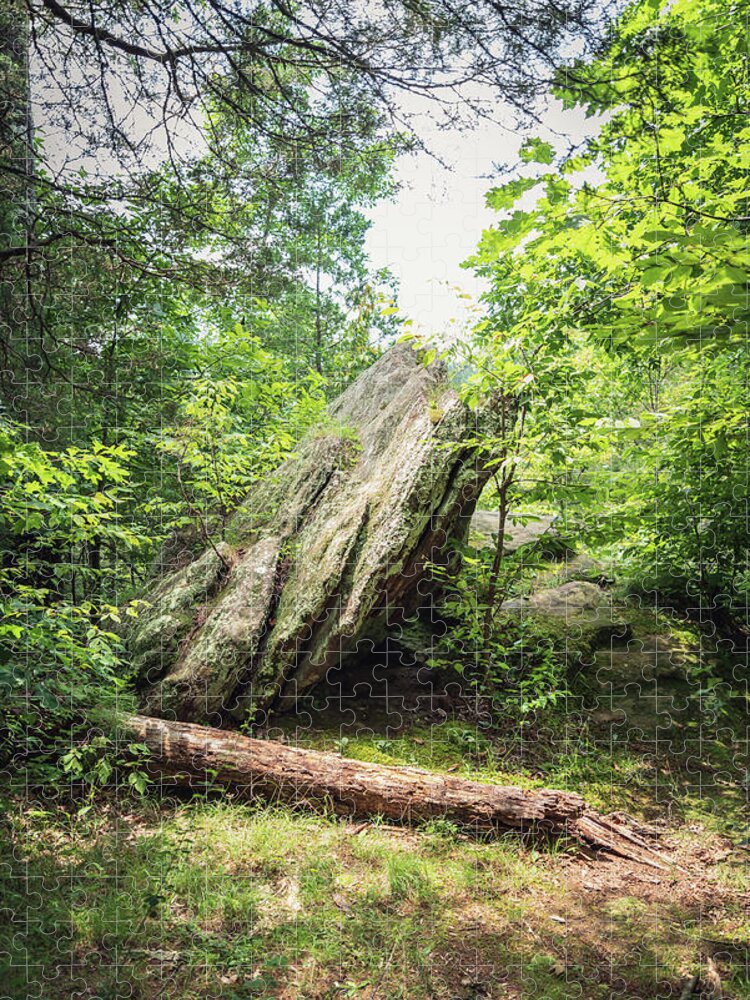 Landscape Jigsaw Puzzle featuring the photograph Lusk Creek Boulder by Grant Twiss