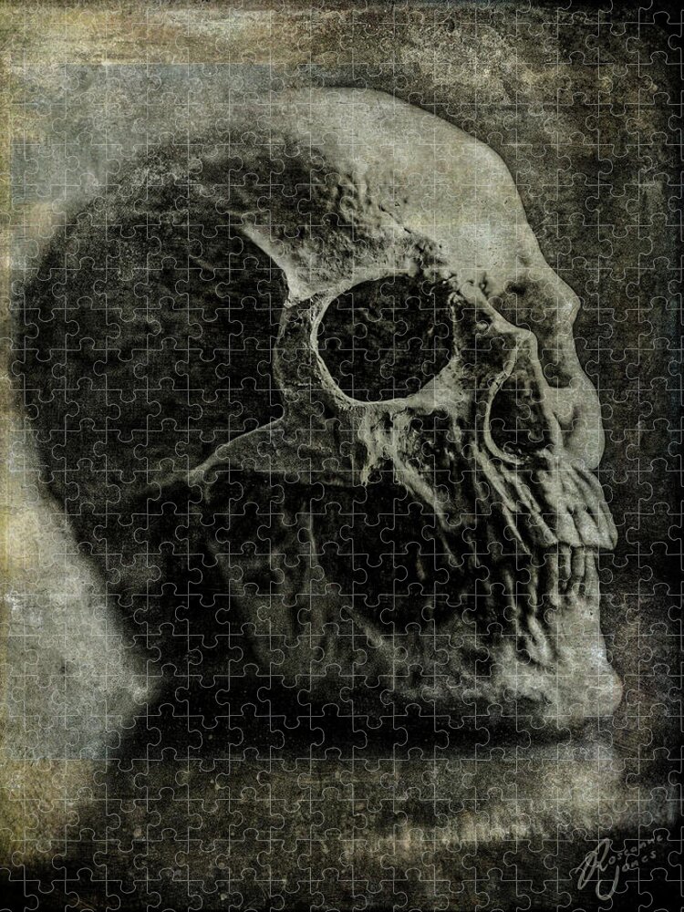 Skull Jigsaw Puzzle featuring the photograph Macabre Skull 1 by Roseanne Jones
