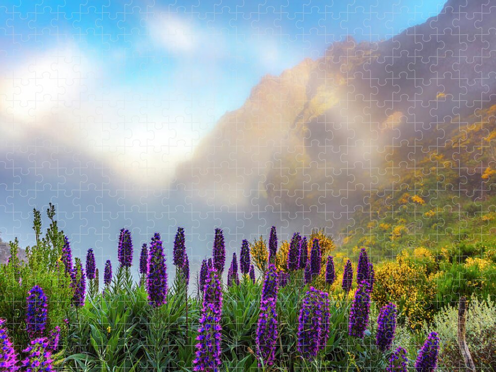 Atlantic Ocean Jigsaw Puzzle featuring the photograph Madeira by Evgeni Dinev