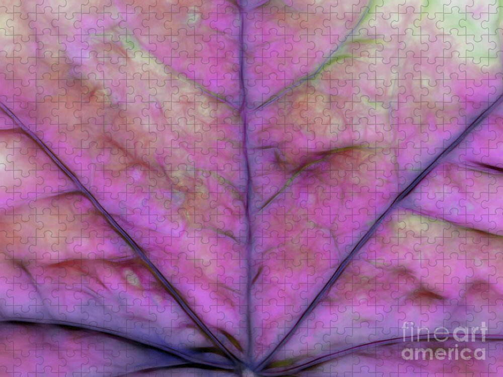 Magenta Jigsaw Puzzle featuring the photograph Magenta Mist by Elaine Teague
