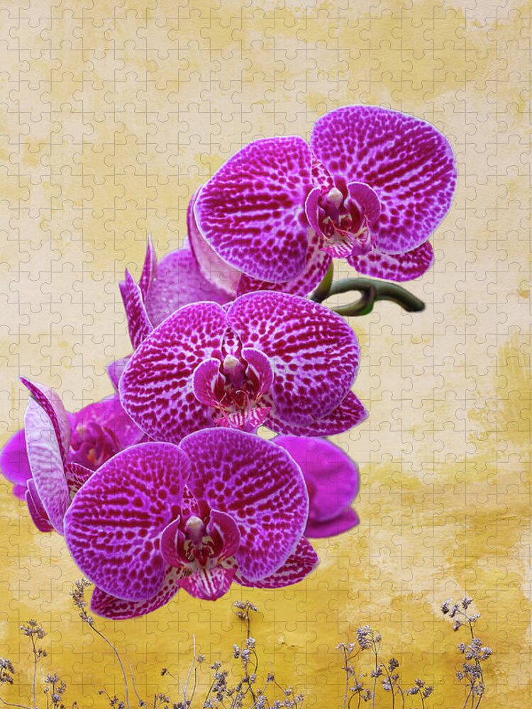 Magenta Jigsaw Puzzle featuring the photograph Magenta Moth Orchids by Cate Franklyn