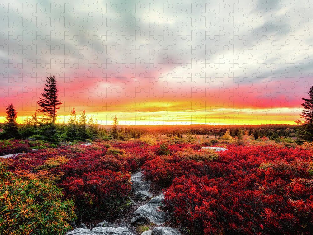 Landscape Jigsaw Puzzle featuring the photograph Magic of Autumn by C Renee Martin