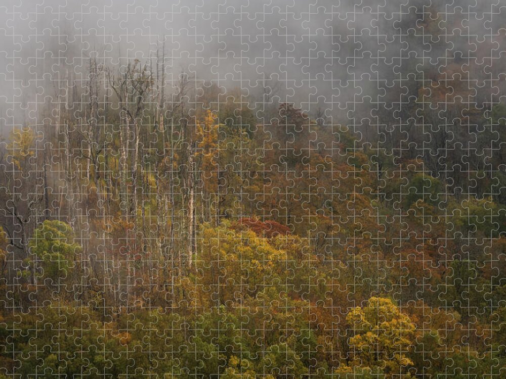 Great Smoky Mountains National Park Jigsaw Puzzle featuring the photograph Magical Mountain by Forest Floor Photography