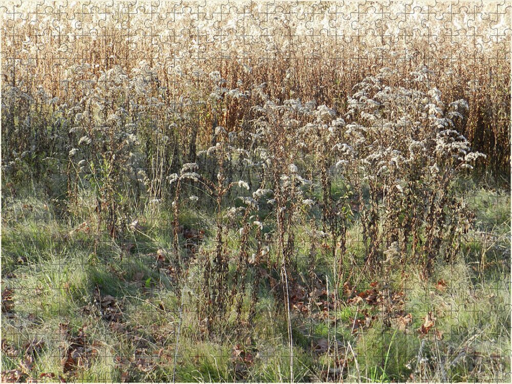 Field Jigsaw Puzzle featuring the photograph Magical November Goldenrod by Lise Winne