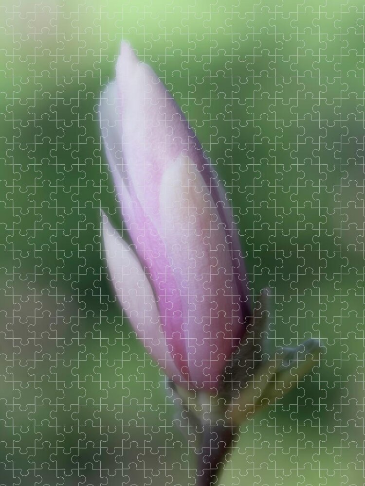 Magnolia Jigsaw Puzzle featuring the photograph Magnolia Bud by Forest Floor Photography