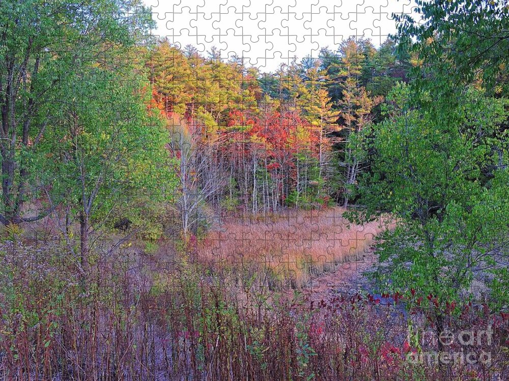  Berwick Jigsaw Puzzle featuring the photograph Maine Woodlands by Marcia Lee Jones