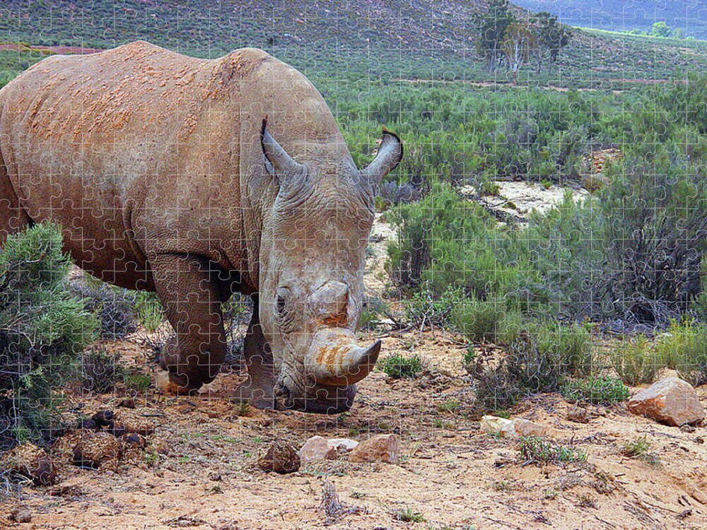 Rhino Jigsaw Puzzle featuring the photograph Make My Day by Carol Neal-Chicago