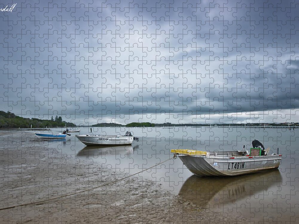 Manning Point Nsw Australia Jigsaw Puzzle featuring the digital art Manning Point 21 by Kevin Chippindall