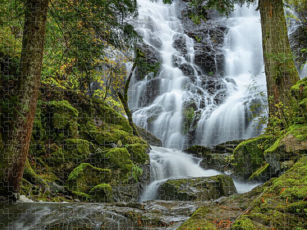 Waterfalls Jigsaw Puzzle featuring the photograph Mary Vine Falls by Bill Cubitt