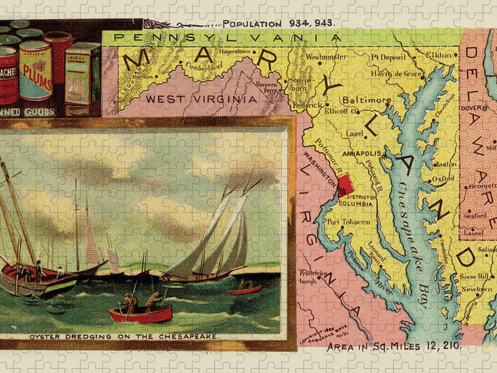 Maps Jigsaw Puzzle featuring the drawing Maryland by Arbuckle Brothers