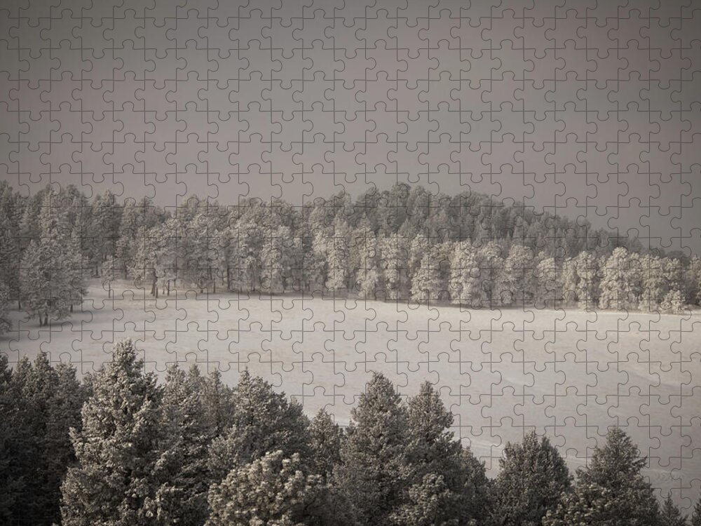 Snow Jigsaw Puzzle featuring the photograph Mountain Meadow in Winter by Kevin Schwalbe