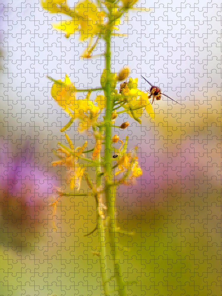 Macro Jigsaw Puzzle featuring the photograph Meadow life 9 by Jaroslav Buna