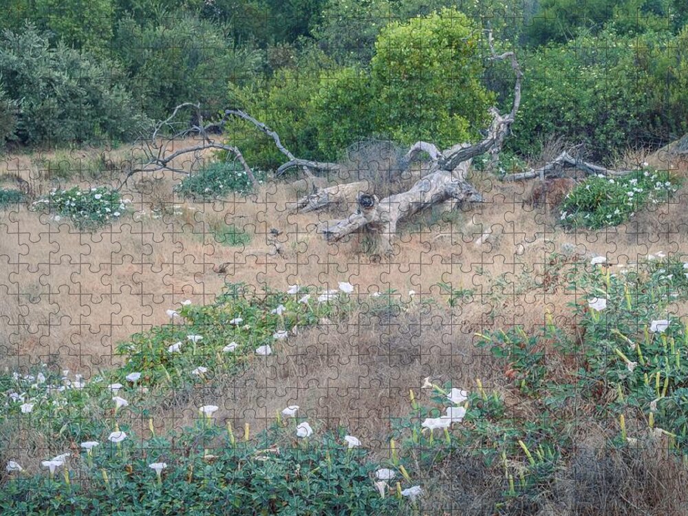 Landscape Jigsaw Puzzle featuring the photograph Meadow with Dead Oak and Datura by Alexander Kunz