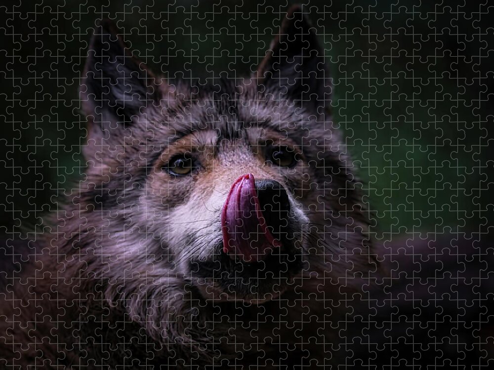 Wolf Jigsaw Puzzle featuring the photograph Mexican Grey Wolf 10 by Ernest Echols