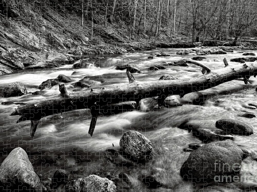 Middle Prong Trail Jigsaw Puzzle featuring the photograph Middle Prong Little River 5 by Phil Perkins
