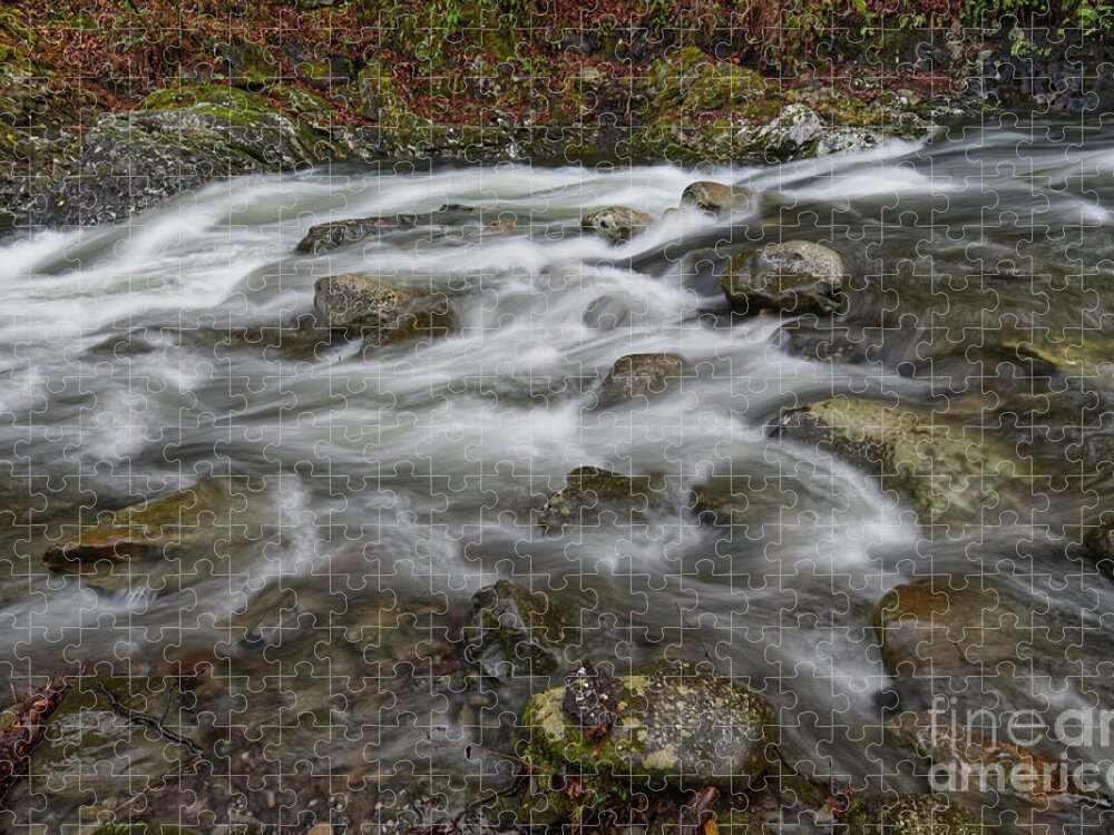 Middle Prong Little River Jigsaw Puzzle featuring the photograph Middle Prong Little River 58 by Phil Perkins