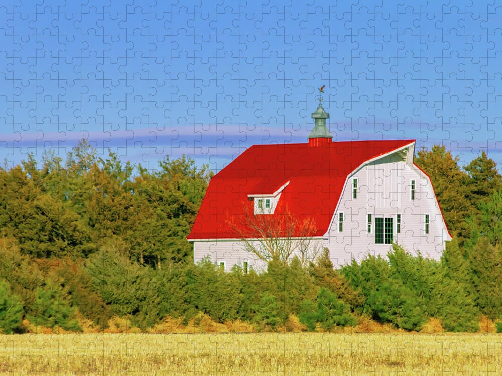 Barn Picture Jigsaw Puzzle featuring the photograph Midwest Barn by Terry Walsh