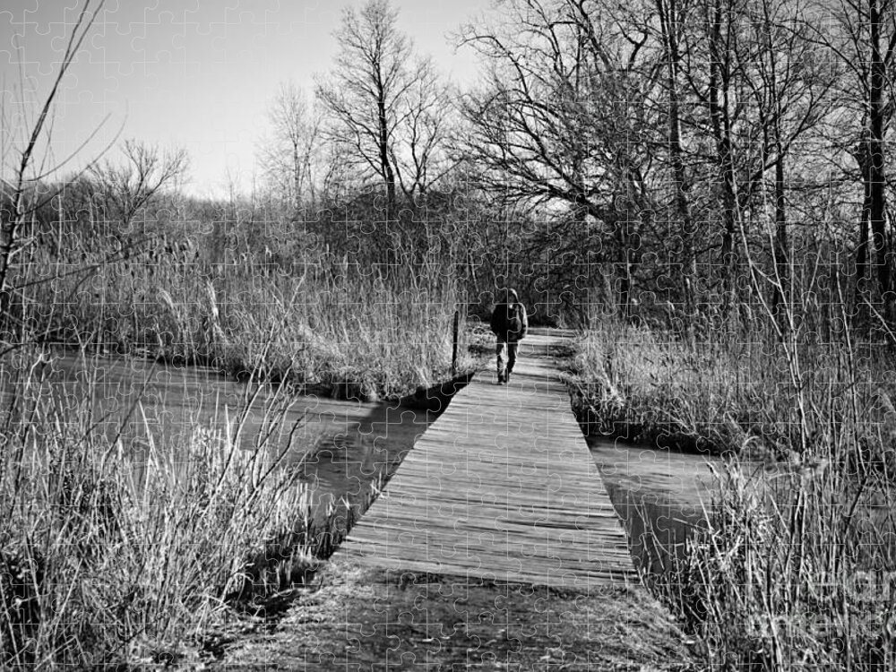 Wetlands Jigsaw Puzzle featuring the photograph Mild Day Winter Wetlands - Black And White by Frank J Casella