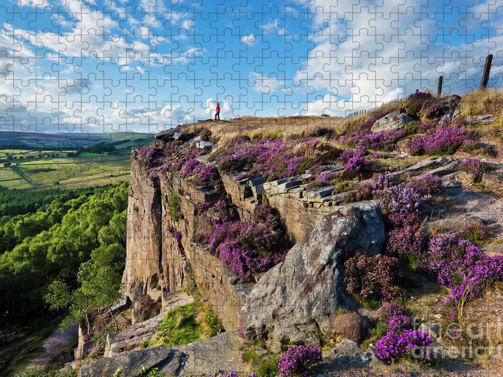 Hathersage Jigsaw Puzzle featuring the photograph Millstone edge and Hathersage Moor with Purple Heather, Peak District, England by Neale And Judith Clark